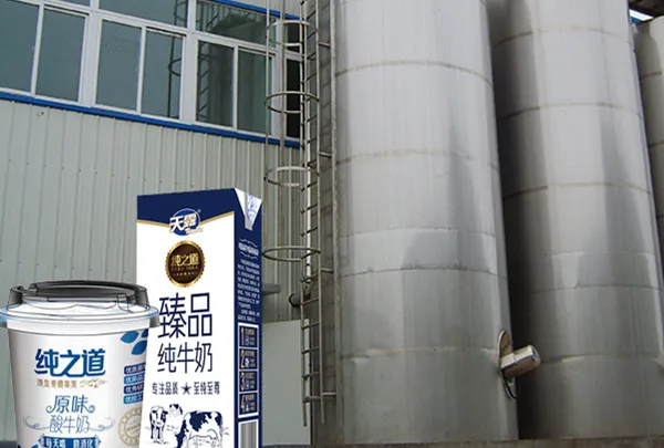 Yogurt and Milk Processing Line