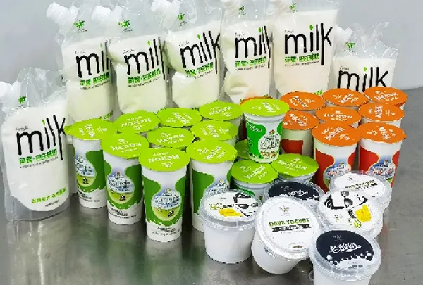 Multi-Product Dairy Processing Line