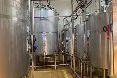 Plant Extract Beverage Processing Line