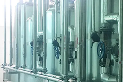 Walnut Beverage Processing Line