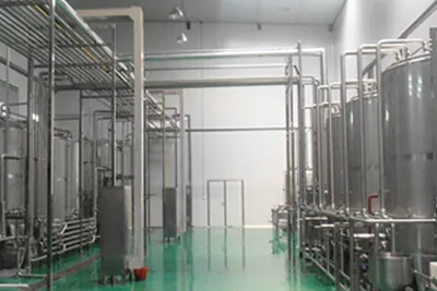 Walnut Beverage Processing Line