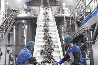 Collagen Processing Line