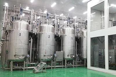 Fermented Fruit and Vegetable Beverage Processing Line