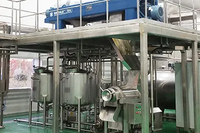 Fermented Fruit and Vegetable Beverage Processing Line