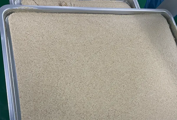 100 m² Freeze-Drying Processing Line