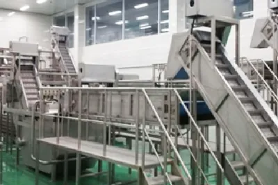 Freeze-Dried Fruit Processing Line