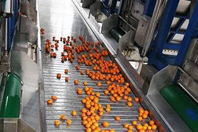 Orange Juice Processing Line