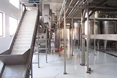 Jujube Juice Concentrate Processing Line