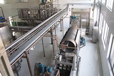 Jujube Juice Concentrate Processing Line