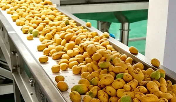 Mango Pulp Processing Line