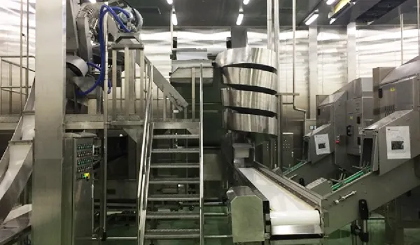 Pineapple Peeling Line