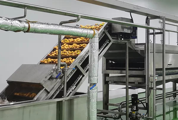 Mango Jam Processing Line