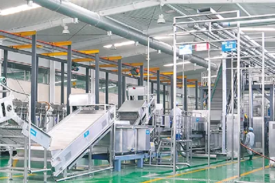 Apple and Pear Processing Line