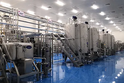 Dragon Fruit Processing Line