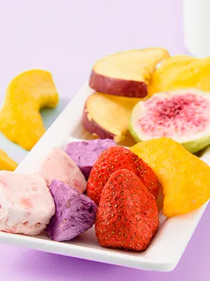 Food Freeze-drying Processing Line
