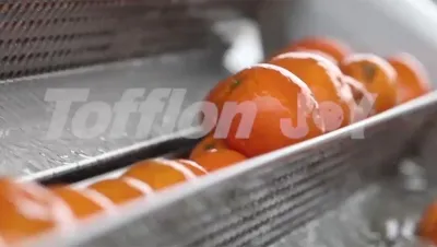 Citrus Processing Line