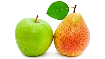 Apple and Pear Processing Line