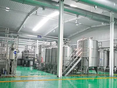 Apple and Pear Processing Line