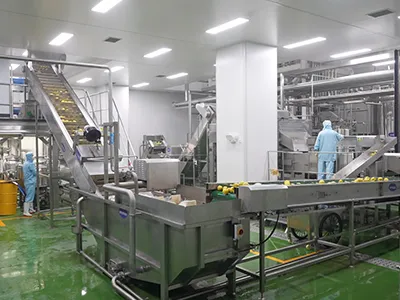 Apple and Pear Processing Line