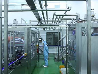 Apple and Pear Processing Line
