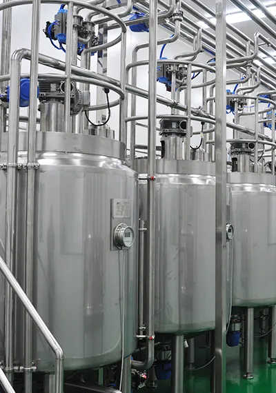 Dairy Products and Beverage Processing Line