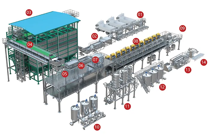 Citrus Processing Line