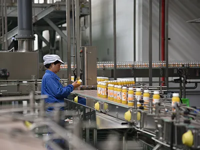 Citrus Processing Line