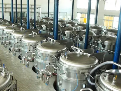 Dates Processing Line
