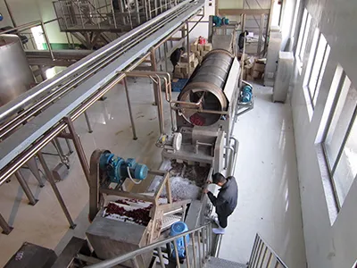 Dates Processing Line
