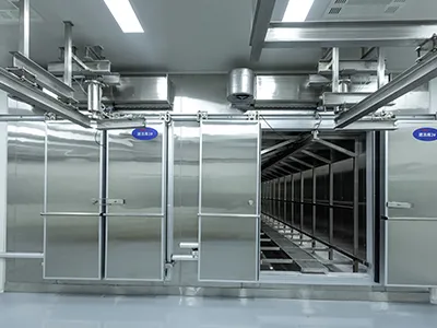Food Freeze-drying Processing Line