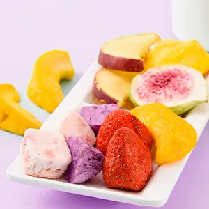 Food Freeze-drying Processing Line