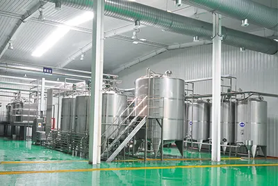 Fruits and Vegetables Processing Line