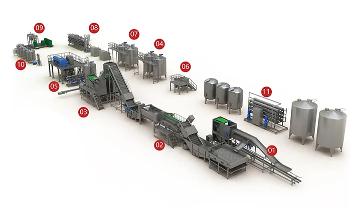 Pitaya Dragon Fruit Processing Line