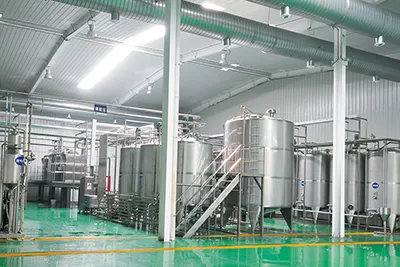 Stainless Steel Mixing Tank