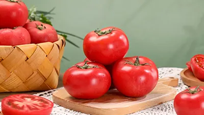 Tomato and Carrot Processing Line