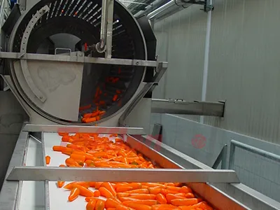 Apple and Pear Processing Line
