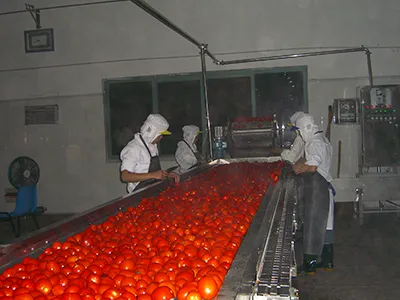 Apple and Pear Processing Line