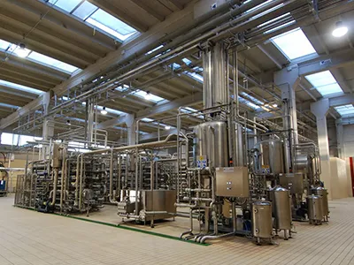 Apple and Pear Processing Line