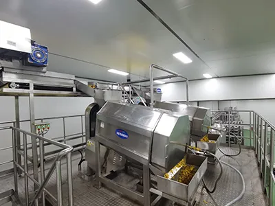 Tropical Fruit Processing Line