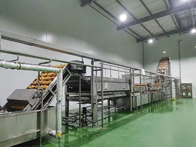 Tropical Fruit Processing Line