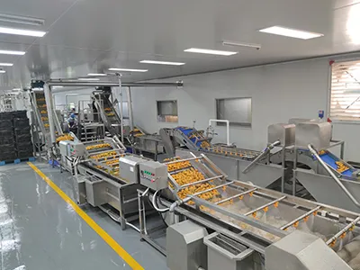 Tropical Fruit Processing Line